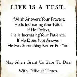 Meet your Posher, Shanaz